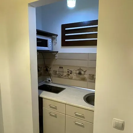 Апартаменты Centru Charming New Piata Universitate *