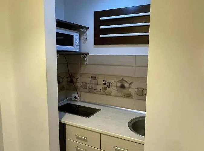 Апартаменты Centru Charming New Piata Universitate *